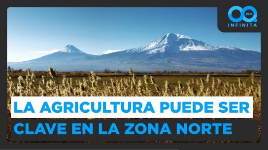 Agricultura en el desierto: ¿Cuáles son las probabilidades de éxito en regiones del norte?