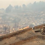 Emergencia en Biobío y Ñuble por incendios forestales: Revisa los centros de acopio que están disponibles