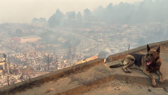 Emergencia en Biobío y Ñuble por incendios forestales: Revisa los centros de acopio que están disponibles