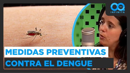 Medidas del Minsal contra el dengue: "Hemos identificado al mosquito en zonas donde antes no estaba”
