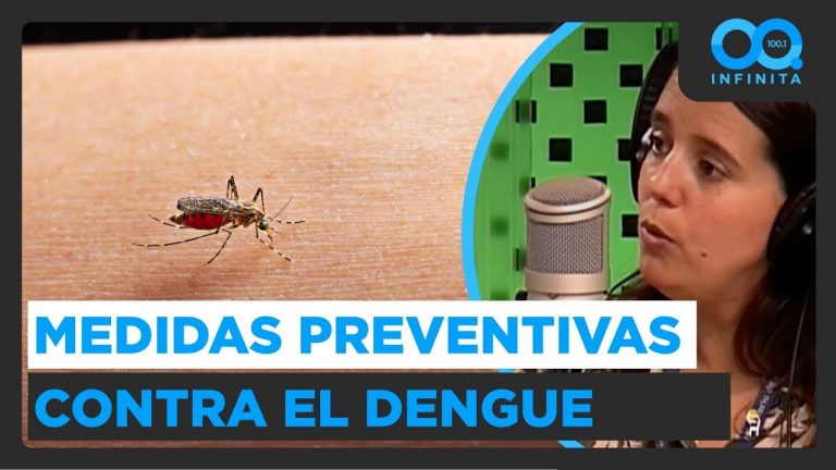 Medidas del Minsal contra el dengue: "Hemos identificado al mosquito en zonas donde antes no estaba”