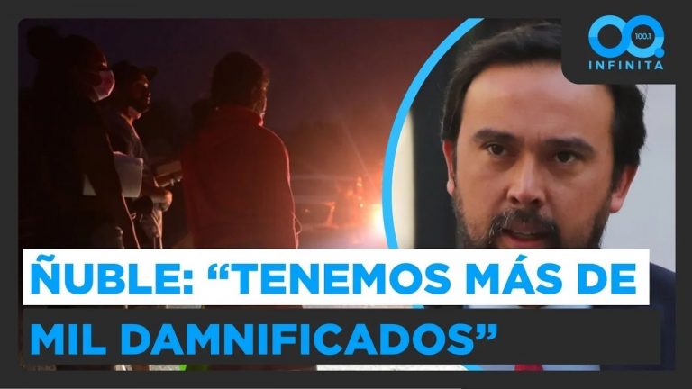 “Tenemos más de mil damnificados”: Gobernador de Ñuble por graves incendios forestales