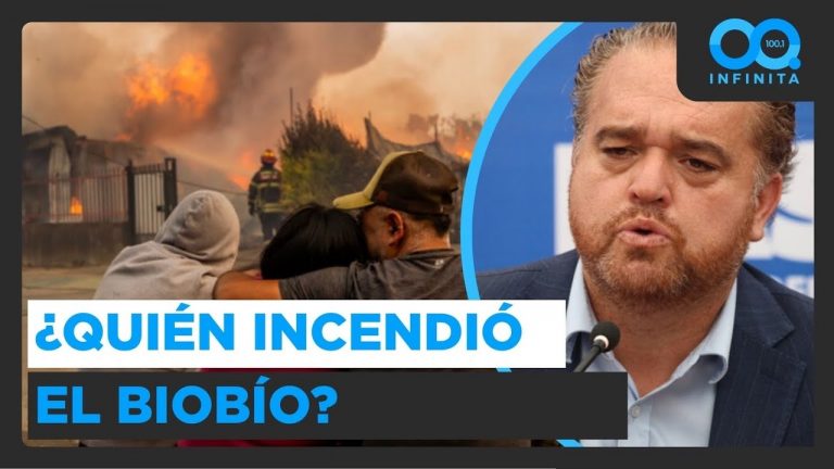 “Pueden ser enfermos pirómanos”: Gobernador del Biobío cree que los incendios son intencionales