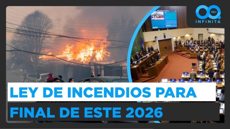 Catástrofes por siniestros: ¿Cuándo será aprobada la Ley de incendios?