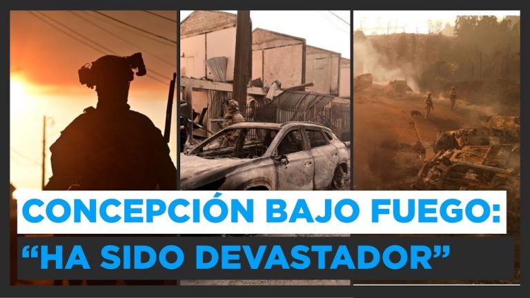 “Faltó mayor coordinación”: Diputado Aedo por acción del Gobierno ante incendios forestales