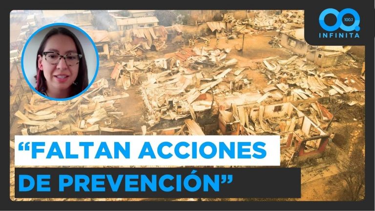 Greenpeace y Ley de Incendios: “Faltan acciones de prevención para cuidar a las personas”