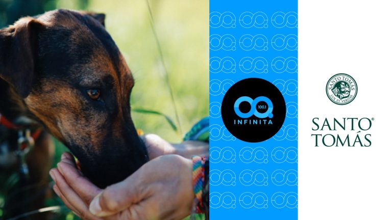 Red Transformadora | Cuidado de mascotas durante el verano: golpes de calor, plagas y viajes