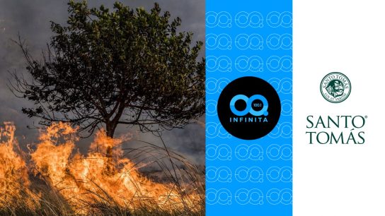 Red Transformadora | Incendios forestales y su impacto en la fauna: ¿Cómo enfrentamos las emergencias animales tras desastres?