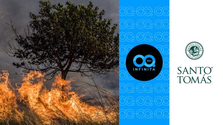 Red Transformadora | Incendios forestales y su impacto en la fauna: ¿Cómo enfrentamos las emergencias animales tras desastres?