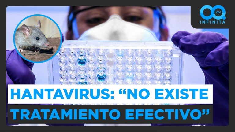 Académico de la UACH: “No existe un tratamiento efectivo aprobado contra el virus Hanta”