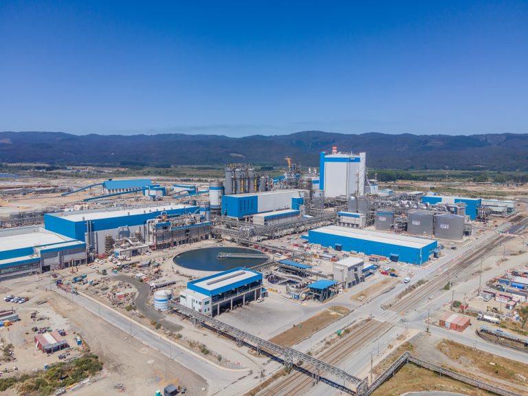 Arauco: una empresa clave en el desarrollo forestal de Chile