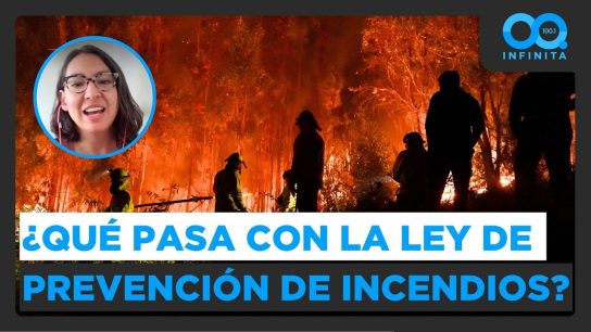 “La mayoría de los incendios forestales ocurre por accidentes”: Greenpeace pide aprobación de la ley
