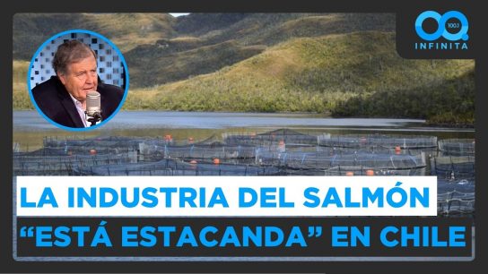 “Está estancada”: Presidente de SalmonChile advierte trabas para crecer en la industria