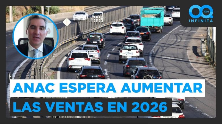 “Momento desafiante”: ANAC reclama mejores normas para el sector automotor