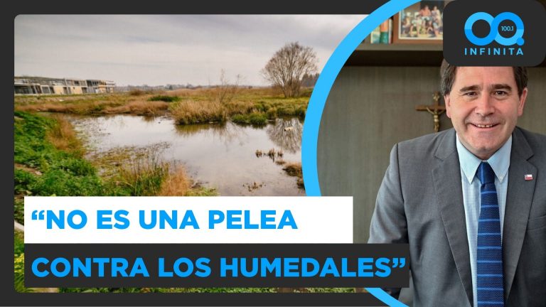 "La definición de humedal quedó muy amplia":  Exsubsecretario Irarrázabal y polémica ley