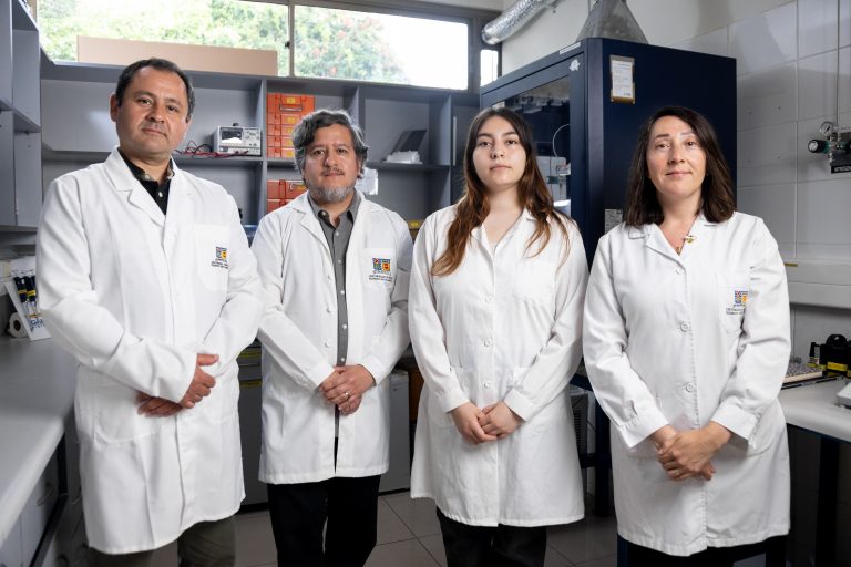 Equipo de investigación USM desarrolla parche a base de miel de Ulmo para la regeneración de heridas