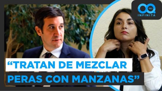 "Están tratando de mezclar peras con manzanas": Diputada Schönhaut por reforma tributaria anterior