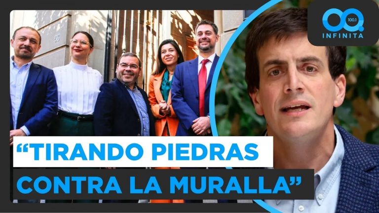 "Ver a las izquierdas tirando piedras contra la muralla": Schalper por discusión de ley miscelánea