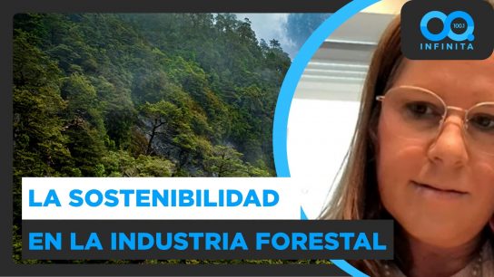 “El bosque tiene más servicios que sólo la producción de madera”: Soledad Vial de Arauco