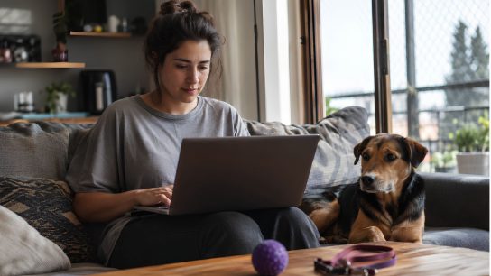 Antes de comprarle algo a tu perro: Los errores más comunes en compras online de mascotas
