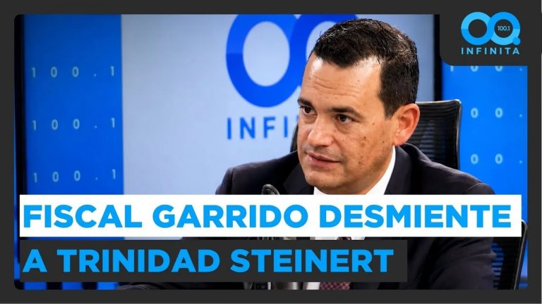 Fiscal Roberto Garrido desmintió a Steinert: El Gobierno no tuvo rol en la detención de Huenchullán