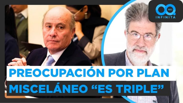 "Ahí la preocupación es triple": Director de Espacio Público por métodos del plan misceláneo