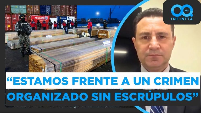 "Estamos frente a un crimen organizado con gran capacidad": Presidente de Corma y delincuencia en sector maderero