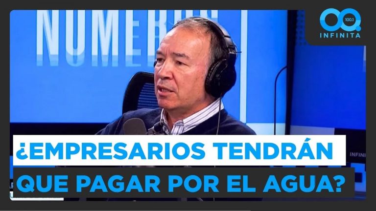 "Llegó el momento en que el empresario pague por el agua": La propuesta del Presidente de Frutas de Chile