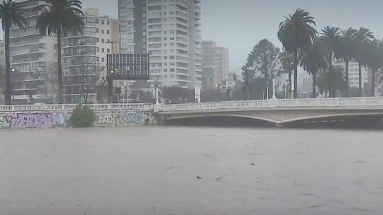 Alerta SAE en Viña del Mar: Senapred llama a evacuar la ribera del estero Marga Marga por riesgo de crecida