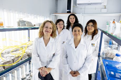 USM y Aduana presentan avances de proyecto que transforma cigarrillos decomisados en compost