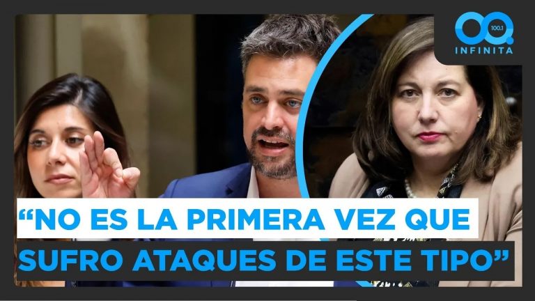 "No es la primera vez que sufro ataques de este tipo": Paulina Vodanovic sobre Cicardini-Manouchehri