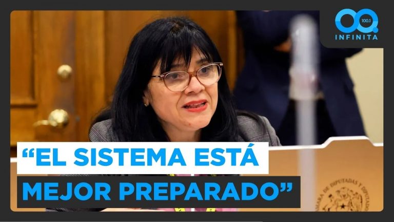 "El sistema está mejor preparado": Superintendenta de Electricidad y preocupación por temporal