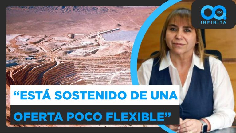 "Estamos viendo esta tendencia alcista": Vicepresidenta ejecutiva (s) Cochilco y precio del cobre