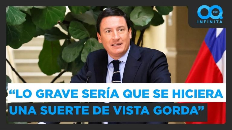 "Lo grave sería que se hiciera una suerte de vista gorda en la arbitrariedad": Squella ante reformas
