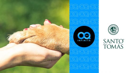 El vínculo entre personas y mascotas: el aporte emocional de los animales de compañía
