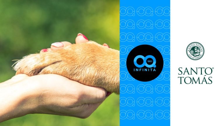 El vínculo entre personas y mascotas: el aporte emocional de los animales de compañía