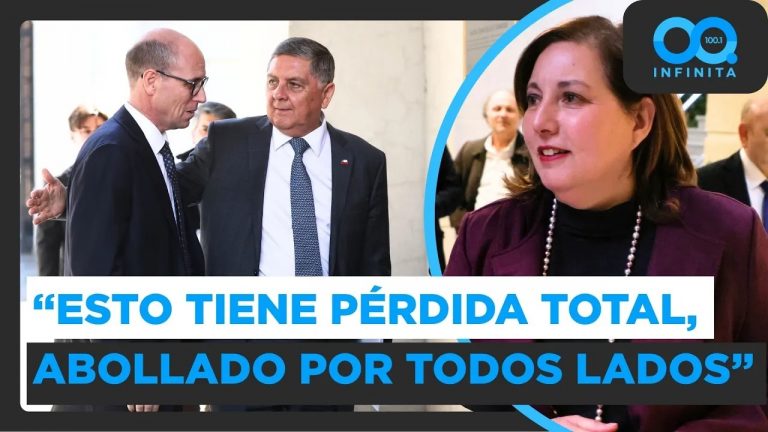 "Pérdida total, abollado por todos lados": Senadora Vodanovic descarta negociación por reforma de seguridad
