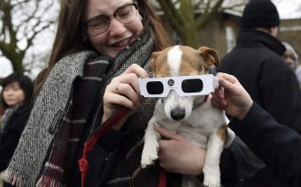 ¿Susto? Conoce cómo reaccionarán tus mascotas con el eclipse total de sol