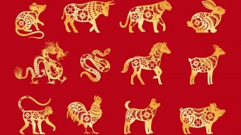 Descubre qué animal eres en el horóscopo chino y a cuál le corresponde "regir" el año 2021