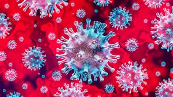 Se detectó primer caso de coronavirus "británico" en Chile: Paciente ya se encuentra aislada