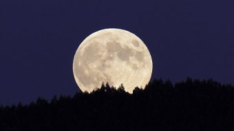 "Luna de Lobo": ¿Cuándo se podrá ver la primera luna llena del 2021?