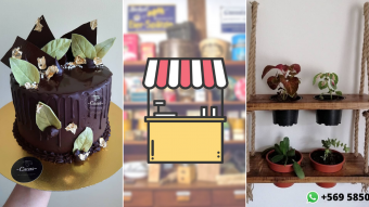 Kioskito Romántica: Muebles para plantitas, ricos chocolates y más en nuestra vitrina de lunes
