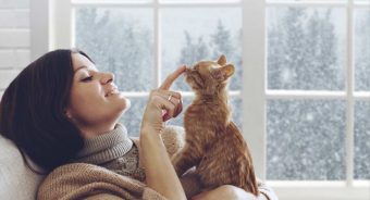 Cinco tips para que mejores tu relación con tu gato y sientas que sí te quiere