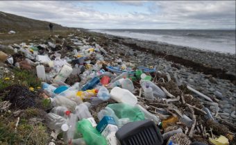 Un respiro para el planeta: Fue aprobada ley que prohíbe plásticos de un solo uso