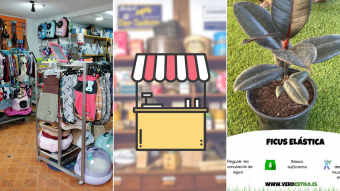 Kioskito Romántica: Muebles con madera reciclada, todo para tu mascota y más en nuestra vitrina