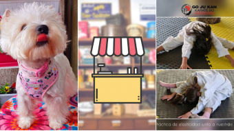 Kioskito Romántica: Clases de karate, accesorios para mascotas y más en la vitrina de miércoles