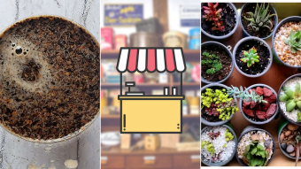 Kioskito Romántica: Ricos cafés, lencería y suculentas en la vitrina de mitad de semana