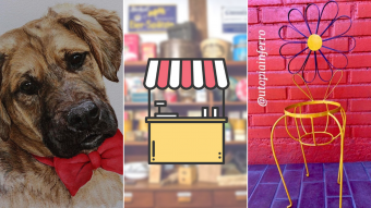 Kioskito Romántica: Acuarelas de perritos, accesorios y trabajos en fierro en la vitrina de martes