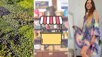 Kioskito Romántica: Ropa, libros infantiles y productos naturales en la vitrina de lunes