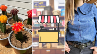 Kioskito Romántica: Ropa, cactus y tentaciones en la vitrina de martes